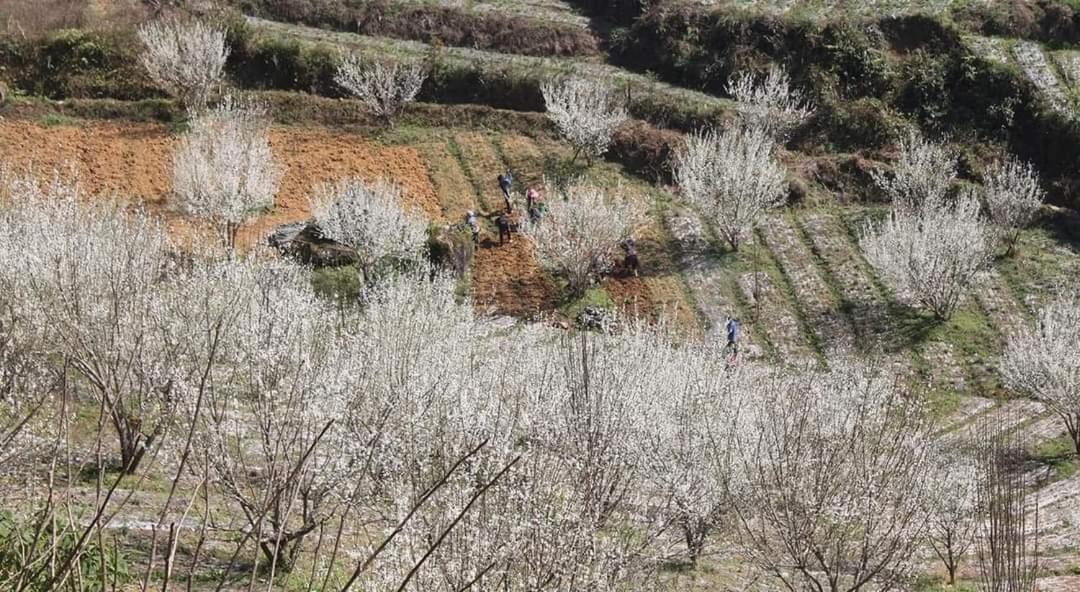 Minh_Tham Apartman Bac Ha  Kültér fotó